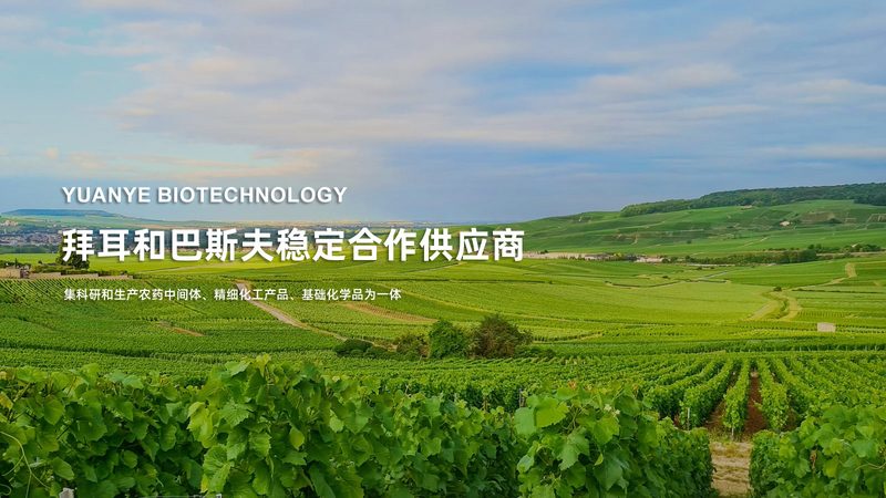 抗体药物CDMO开发费用：揭秘背后的成本构成与影响因素