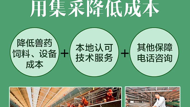 医药CDMO加盟，揭秘那些不为人知的流程细节**