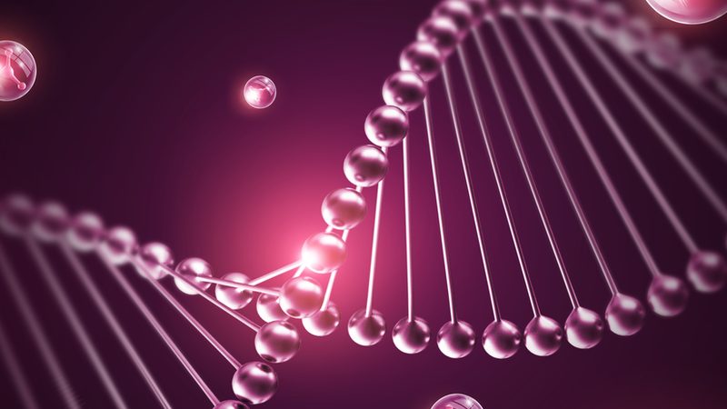 荧光定量PCR试剂盒：揭秘其背后的科学与应用
