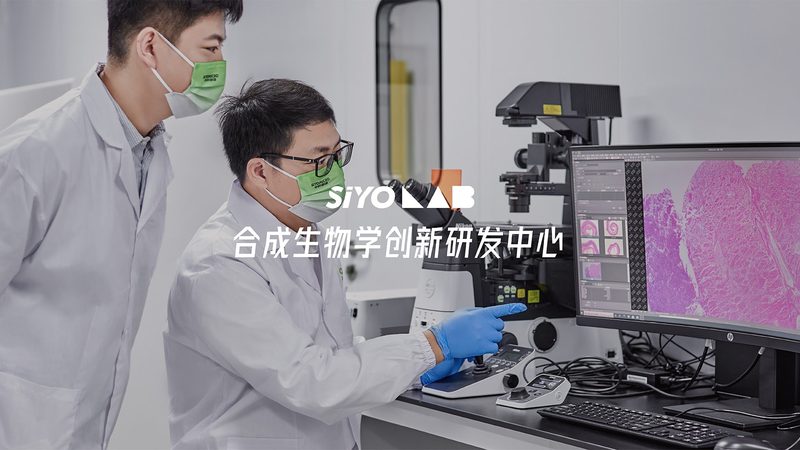 鼠抗人单克隆抗体：进口与国产，有何不同？**