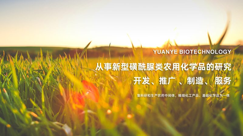 生物科技产品大观园：探秘多样化的研发成果**